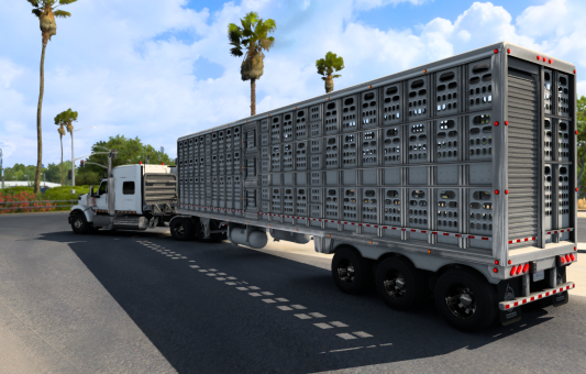 International HX520 2022 и новый скотовоз