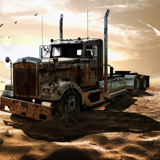 In the arms of the desert